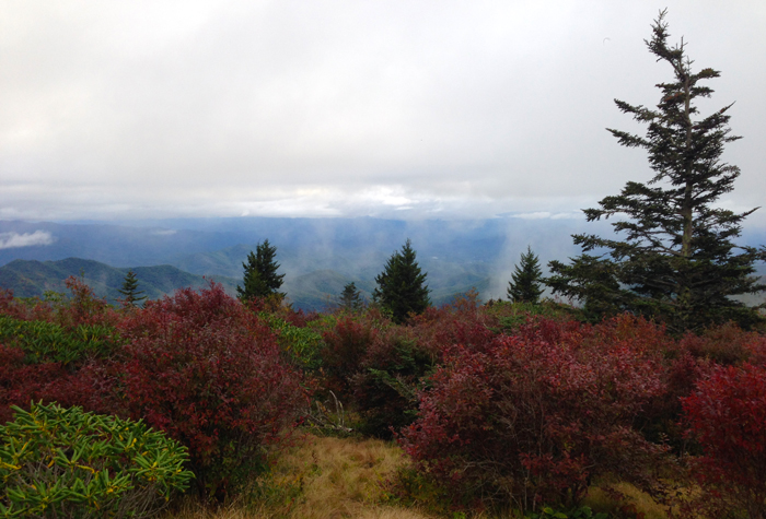 Foggy View From Andrews Bald