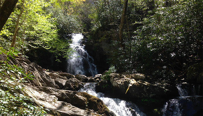 Spruce Flats Falls Smoky Mountains