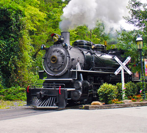 Dollywood Train