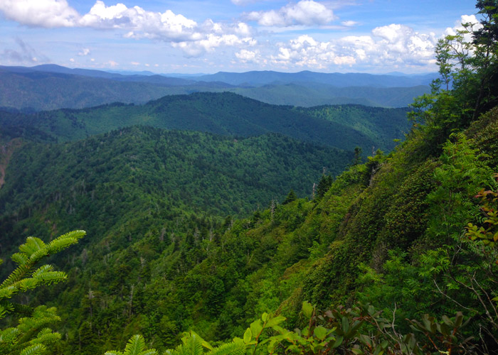 View From the Jump Off Near Gatlinburg