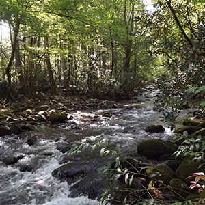 West Prong of the Little Pigeon River