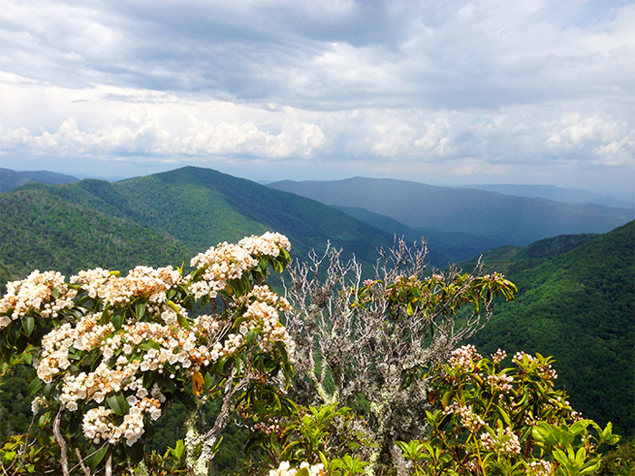 Great Smoky Mountains in Tennessee