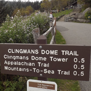 Trail Head For Clingman's Dome