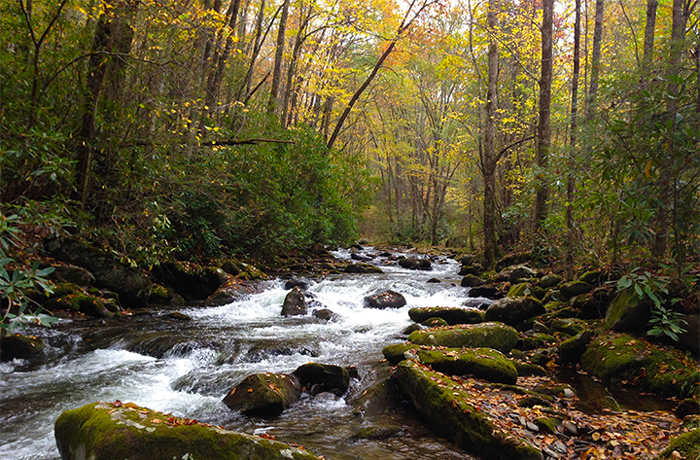 Fall in Gatlinburg