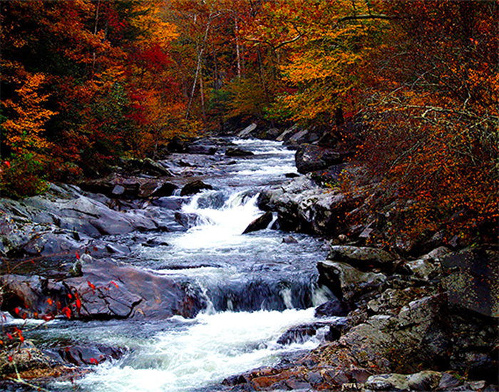 Great Smoky Mountains National Park Waterfall