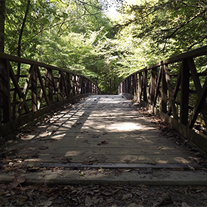 Bridge Over the West Prong of the Little Pigeon River