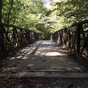 Bridge Over the West Prong of the Little Pigeon River