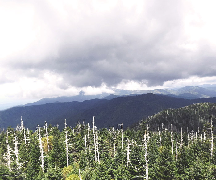 Awesome Hikes Near Gatlinburg, TN