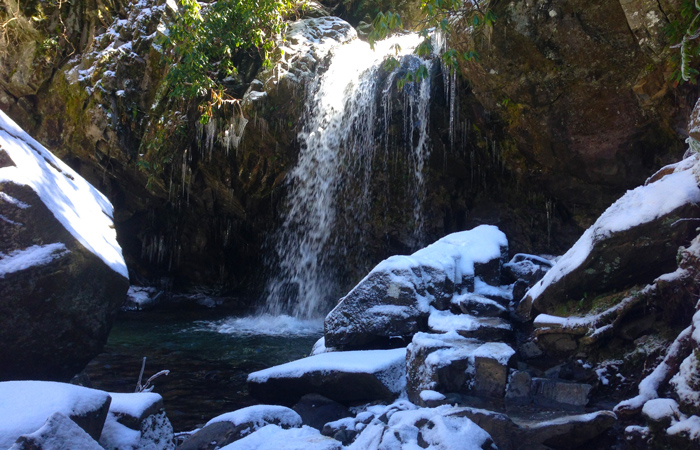 View of Grotto Falls Near Gatlinburg