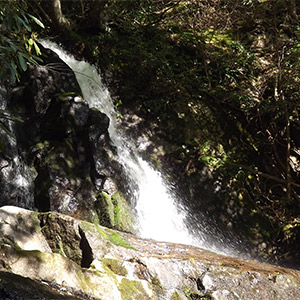 Laurel Falls Trail Near Gatlinburg