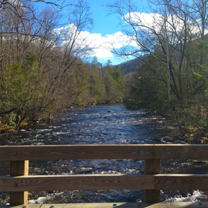 Bridge At Metcalf Bottoms