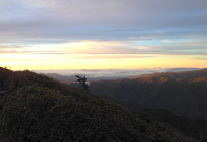 View From Mt. Leconte