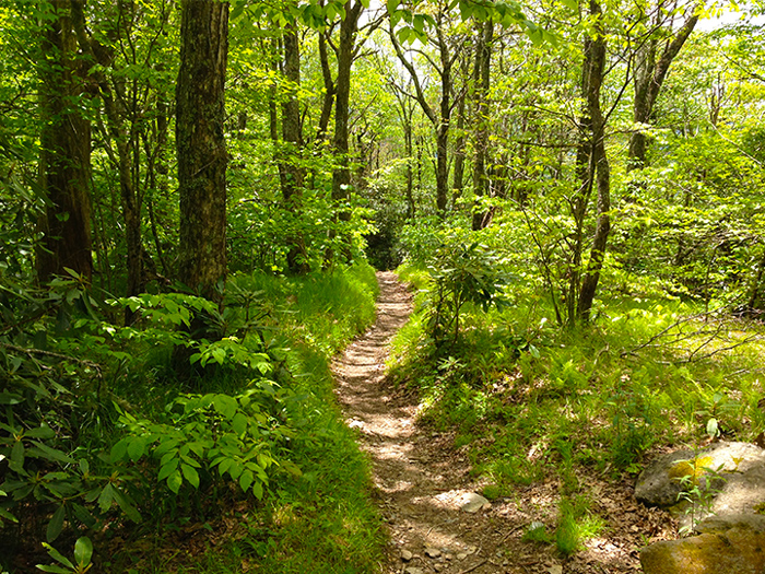 Peaceful Parts of the Great Smoky Mountains