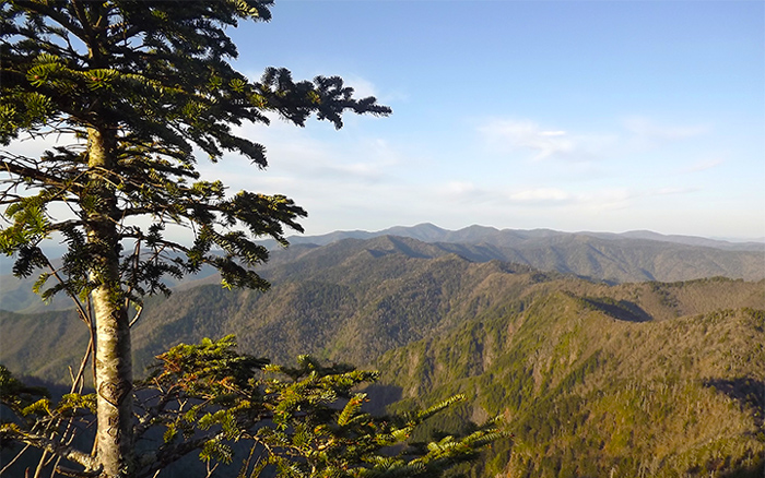 Peaceful Places in the Smoky Mountains