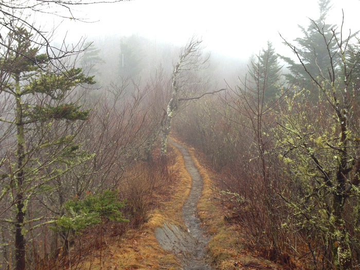 Rainy Day in Gatlinburg and the Smokies