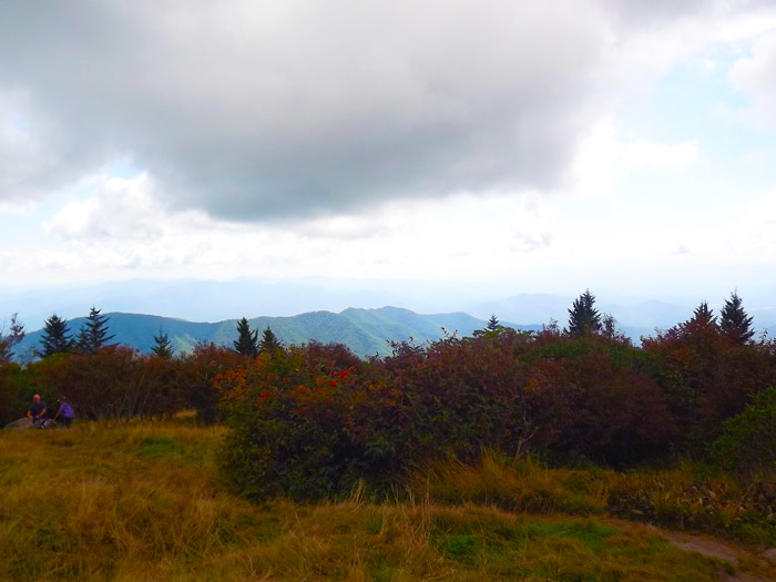 Andrews Bald in the Great Smoky Mountains