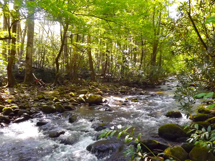 Tubing in the Smoky Mountains