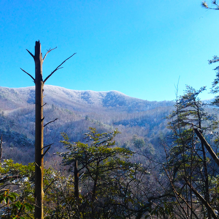 Winter Weather in the Smoky Mountains