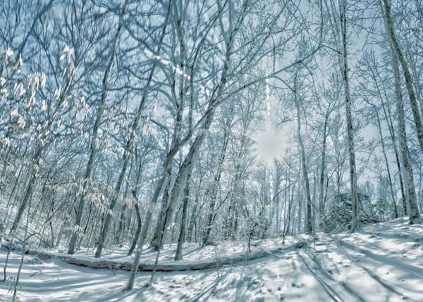 Winter in the Tennessee Smokies