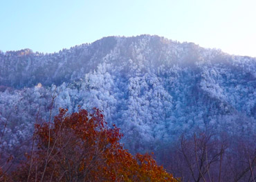 Winter Snow in the Smokies