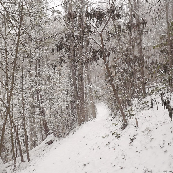 Snowy Hikes in the Smoky Mountains