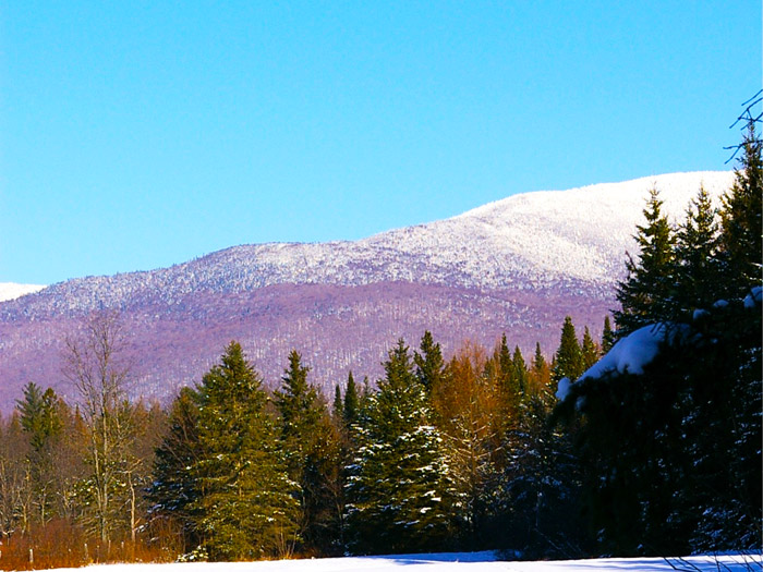 Winter in the Tennessee Smoky Mountains