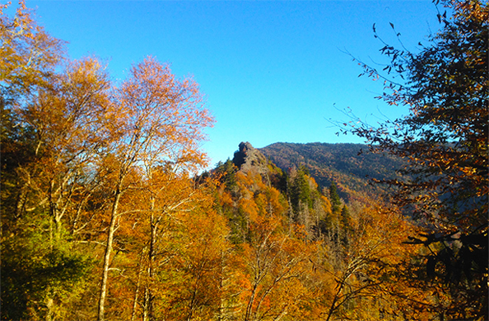 View of the Chimney Tops Near Gatlinburg