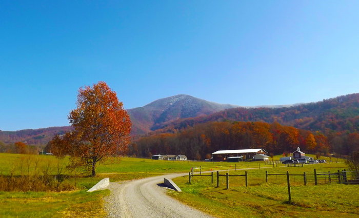 Fall in Wears Valley, TN