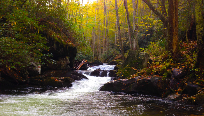 Waterfall in Tremont