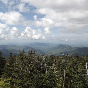 Great Views From Clingman's Dome