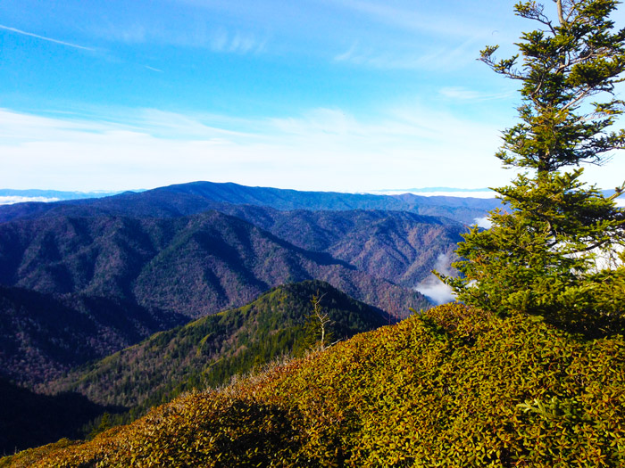 Smoky Mountain Scenic Views