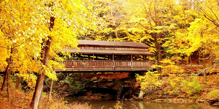 Covered Bridge in the Fall