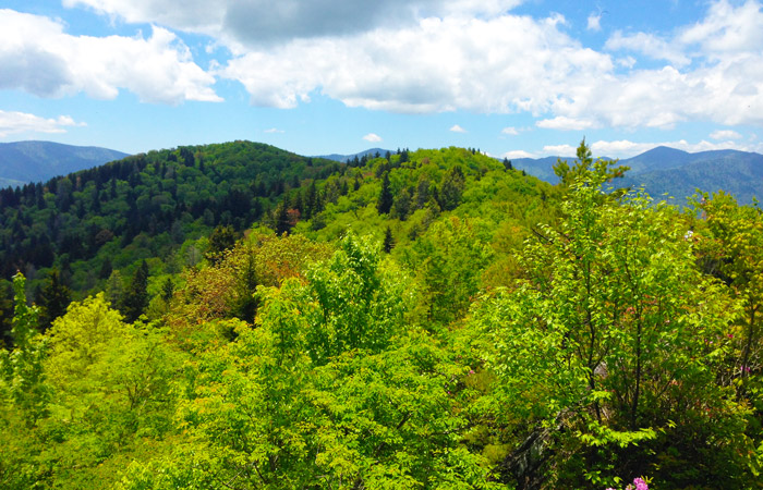 View From Mt. Cammerer Firetower in the Smokies