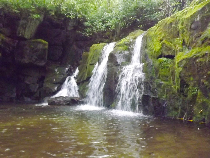 Waterfall on Middle Prong Trail Great Smoky Mountains