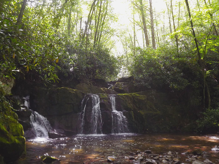 Waterfall in the Smoky Mountains