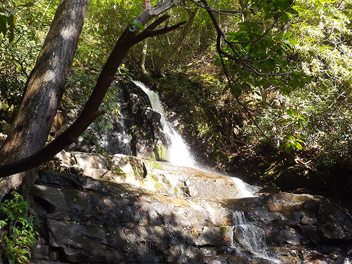 Laurel Falls Great Smoky Moutains