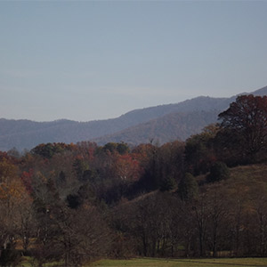 Wears Valley in the Smoky Mountains