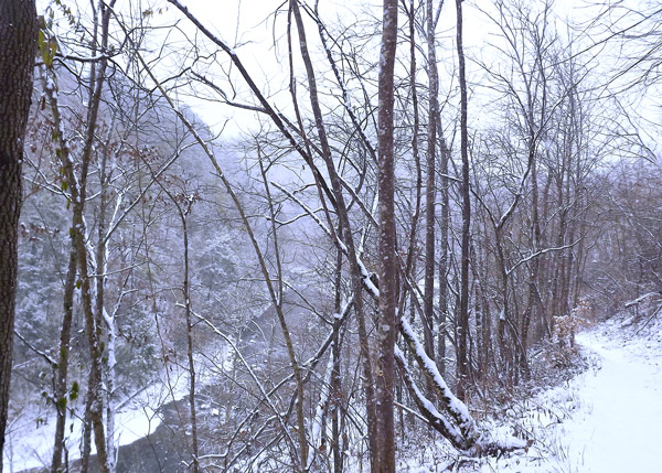 Smoky Mountain Winter Hiking Trail