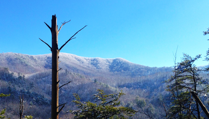 January in the Smoky Mountains