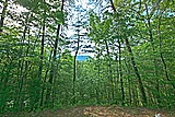 Featured Property Photo