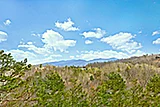 Featured Property Photo