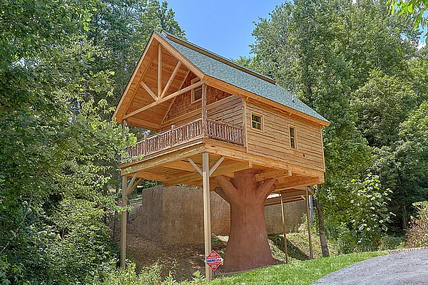 "Out On A Limb" Honeymoon Cabin With Pool & Hot Tub in the ...