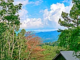 Featured Property Photo