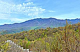 Featured Property Photo